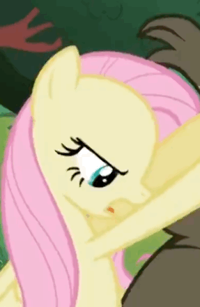 Size: 287x440 | Tagged: safe, edit, screencap, character:fluttershy, character:harry, species:pegasus, species:pony, episode:lesson zero, g4, my little pony: friendship is magic, angry, animated, bear, context is for the weak, cropped, invisible stallion, out of context, season 2