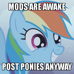 Size: 400x400 | Tagged: safe, edit, edited screencap, screencap, character:rainbow dash, species:pegasus, species:pony, episode:friendship is magic, g4, my little pony: friendship is magic, caption, cropped, cute, dashabetes, female, grin, image macro, mare, meme, mods are asleep, mods are asleep post ponies, post ponies, smiling, solo, spread wings, squee, text, wide eyes, wings
