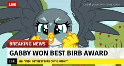 Size: 1275x678 | Tagged: safe, edit, edited screencap, screencap, character:gabby, episode:the fault in our cutie marks, g4, my little pony: friendship is magic, birb, breaking news, caption, cute, gabbybetes, happy, image macro, sad description, text