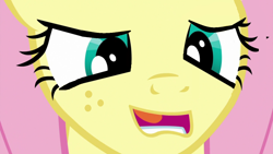 Size: 1280x720 | Tagged: safe, edit, edited screencap, screencap, character:fluttershy, species:pony, episode:sweet and smoky, g4, my little pony: friendship is magic, bust, close-up, female, freckles, inverted mouth, mare, open mouth, portrait, solo, teeth