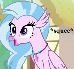 Size: 768x720 | Tagged: safe, edit, edited screencap, screencap, character:silverstream, episode:uprooted, g4, my little pony: friendship is magic, cropped, cute, diastreamies, jewelry, necklace, ponyville, reaction image, squee
