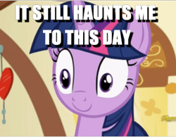 Size: 360x282 | Tagged: safe, edit, edited screencap, screencap, character:twilight sparkle, character:twilight sparkle (alicorn), species:alicorn, species:pony, episode:a flurry of emotions, g4, my little pony: friendship is magic, caption, cropped, female, haunted, image macro, ptsd, solo, text, thousand yard stare
