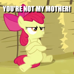 Size: 498x496 | Tagged: safe, edit, edited screencap, screencap, character:apple bloom, episode:apple family reunion, g4, my little pony: friendship is magic, caption, cropped, female, grumpy, hay bale, image macro, implied applejack, solo, text