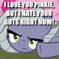 Size: 398x399 | Tagged: safe, edit, edited screencap, screencap, character:limestone pie, character:pinkie pie, episode:the maud couple, g4, my little pony: friendship is magic, caption, cropped, image macro, solo focus, text