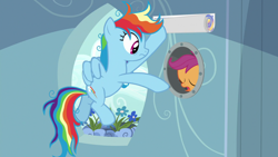 Size: 1280x720 | Tagged: safe, edit, edited screencap, screencap, character:rainbow dash, character:scootaloo, species:pegasus, species:pony, episode:secrets and pies, g4, my little pony: friendship is magic, female, flower, poster, rainbow dash's house