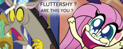 Size: 1500x600 | Tagged: safe, edit, edited screencap, screencap, character:discord, character:fluttershy, species:draconequus, species:pegasus, species:pony, g4, my little pony:pony life, caption, duo, engrish, exuberant airdancer fluttershy, female, grammar error, image macro, male, mare, op is a duck, pony life drama, text