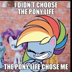 Size: 960x960 | Tagged: safe, edit, edited screencap, screencap, character:rainbow dash, species:pegasus, species:pony, my little pony:pony life, caption, cropped, eyes closed, image macro, impact font, meme, smiley face, text, thug life