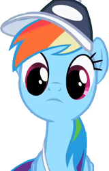 Size: 460x720 | Tagged: safe, edit, edited screencap, screencap, character:rainbow dash, species:pegasus, species:pony, episode:may the best pet win, g4, my little pony: friendship is magic, background removed, female, mare, not a vector, simple background, solo, transparent background