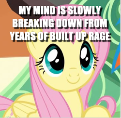 Size: 365x357 | Tagged: safe, edit, edited screencap, screencap, character:fluttershy, species:pony, episode:trade ya, g4, my little pony: friendship is magic, caption, cropped, cute, dissonant caption, image macro, text, train
