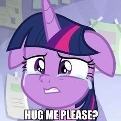 Size: 601x600 | Tagged: safe, edit, edited screencap, screencap, character:twilight sparkle, character:twilight sparkle (alicorn), species:alicorn, species:pony, episode:the ending of the end, g4, my little pony: friendship is magic, bronybait, caption, cropped, crying, cute, dawwww, female, floppy ears, hug request, image macro, mare, sad, sadorable, solo, teary eyes, text, twiabetes