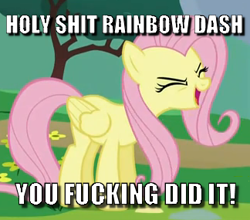 Size: 324x285 | Tagged: safe, edit, edited screencap, screencap, character:fluttershy, species:pegasus, species:pony, episode:sonic rainboom, g4, my little pony: friendship is magic, caption, cheering, cropped, eyes closed, female, flutteryay, image macro, impact font, mare, solo, text, vulgar, yay