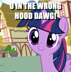 Size: 625x635 | Tagged: safe, edit, edited screencap, screencap, character:twilight sparkle, character:twilight sparkle (alicorn), species:alicorn, species:pony, episode:pinkie pride, g4, my little pony: friendship is magic, caption, cropped, female, image macro, solo, text, wrong neighborhood