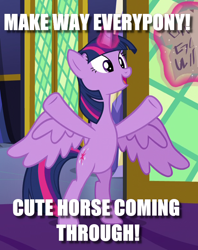Size: 614x775 | Tagged: safe, edit, edited screencap, screencap, character:twilight sparkle, character:twilight sparkle (alicorn), species:alicorn, species:pony, episode:shadow play, g4, my little pony: friendship is magic, attention horse, bipedal, caption, cropped, female, image macro, magic, meme, solo, text