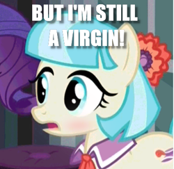 Size: 405x393 | Tagged: safe, edit, edited screencap, screencap, character:coco pommel, character:rarity, species:earth pony, species:pony, species:unicorn, episode:made in manehattan, g4, my little pony: friendship is magic, blushing, caption, cropped, flower, flower in hair, image macro, solo focus, text, virgin
