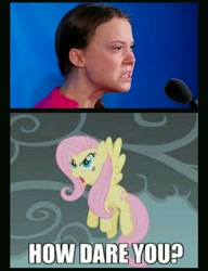 Size: 943x1230 | Tagged: safe, edit, edited screencap, screencap, character:fluttershy, species:human, species:pegasus, species:pony, episode:dragonshy, g4, my little pony: friendship is magic, angry, caption, female, flying, greta thunberg, how dare you?, image macro, irl, irl human, mare, photo, text