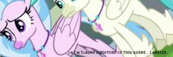Size: 429x140 | Tagged: source needed, useless source url, safe, edit, edited screencap, screencap, character:silverstream, character:terramar, species:hippogriff, episode:student counsel, angle, camera shot, caption, cropped, meme, sneezing