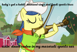 Size: 908x605 | Tagged: safe, edit, edited screencap, screencap, character:fiddlesticks, species:pony, episode:apple family reunion, g4, my little pony: friendship is magic, apple family member, clothing, cowboy hat, cowgirl, hat, lil nas x, lyrics, musical instrument, old town road, playing, playing instrument, season 3, solo, song reference, text, violin, youtube, youtube link