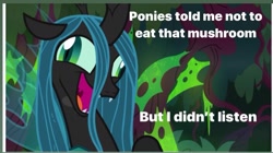 Size: 705x395 | Tagged: safe, edit, edited screencap, screencap, character:queen chrysalis, episode:the mean 6, g4, my little pony: friendship is magic, caption, drugs, exploitable meme, funny, hallucination, high, i didn't listen, image macro, implied drug use, implied drugs, meme, shrooms, text
