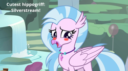Size: 744x418 | Tagged: safe, edit, edited screencap, screencap, character:silverstream, species:hippogriff, episode:student counsel, blushing, cute, diastreamies, female, looking back, reaction image, solo