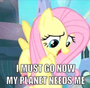 Size: 289x281 | Tagged: safe, edit, edited screencap, screencap, character:fluttershy, episode:the crystal empire, g4, my little pony: friendship is magic, animated, caption, cropped, female, gif, i must go, image macro, solo, text