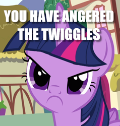 Size: 423x444 | Tagged: safe, edit, edited screencap, screencap, character:twilight sparkle, character:twilight sparkle (alicorn), species:alicorn, species:pony, episode:pinkie pride, g4, my little pony: friendship is magic, :c, >:c, angry, caption, cropped, cute, female, frown, image macro, madorable, mare, reaction image, solo, text, twiggles