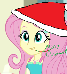Size: 628x686 | Tagged: safe, edit, edited screencap, screencap, character:fluttershy, my little pony:equestria girls, 1000 hours in ms paint, christmas, clothing, cropped, dress, hat, holiday, jewelry, merry christmas, necklace, open mouth, santa hat, talking, text