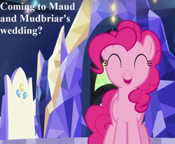 Size: 874x720 | Tagged: safe, edit, edited screencap, screencap, character:pinkie pie, episode:father knows beast, g4, my little pony: friendship is magic, bronybait, cropped, cute, diapinkes, implied maud pie, implied maudbriar, implied mudbriar, implied shipping, implied straight, implied wedding, speech, twilight's castle