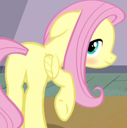 Size: 694x698 | Tagged: safe, edit, edited screencap, screencap, character:fluttershy, species:pegasus, species:pony, episode:filli vanilli, g4, my little pony: friendship is magic, blushing, cropped, female, floppy ears, flutterbutt, mare, profile, solo