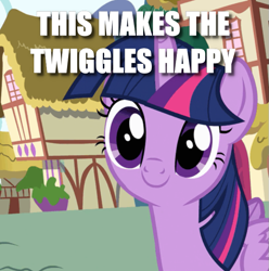 Size: 633x637 | Tagged: safe, edit, edited screencap, screencap, character:twilight sparkle, character:twilight sparkle (alicorn), species:alicorn, species:pony, episode:pinkie pride, g4, my little pony: friendship is magic, caption, cropped, cute, female, image macro, mare, smiling, text, twiggles
