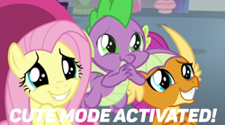 Size: 748x417 | Tagged: safe, edit, edited screencap, screencap, character:fluttershy, character:smolder, character:spike, species:dragon, species:pegasus, species:pony, episode:sweet and smoky, g4, my little pony: friendship is magic, cute, cute mode activated, dragoness, female, male, meme, puppy dog eyes, shyabetes, smolderbetes, spikabetes, text, wide eyes, winged spike