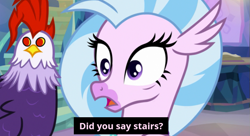 Size: 745x406 | Tagged: safe, edit, edited screencap, screencap, character:edith, character:silverstream, episode:student counsel, caption, duo, female, stairs, text, that hippogriff sure does love stairs, treehouse of harmony