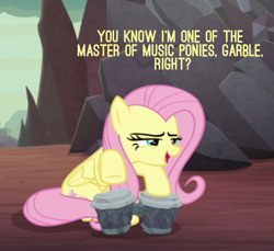 Size: 449x411 | Tagged: safe, edit, edited screencap, screencap, character:fluttershy, species:pegasus, species:pony, episode:sweet and smoky, g4, my little pony: friendship is magic, bongos, cropped, female, implied garble, implied octavia, implied vinyl scratch, looking at someone, mare, master of music, narrowed eyes, solo