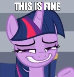 Size: 880x910 | Tagged: safe, edit, edited screencap, screencap, character:twilight sparkle, character:twilight sparkle (alicorn), species:alicorn, species:pony, episode:horse play, g4, my little pony: friendship is magic, blatant lies, caption, cropped, faec, female, image macro, mare, meme, needs more jpeg, nervous grin, smiling, solo, text, this is fine
