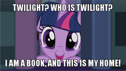 Size: 600x338 | Tagged: safe, edit, edited screencap, screencap, character:twilight sparkle, character:twilight sparkle (alicorn), species:alicorn, species:pony, episode:amending fences, g4, my little pony: friendship is magic, book, bookhorse, caption, cute, female, grin, happy, image macro, library, looking at you, meme, open mouth, peeking, smiling, solo, text, that pony sure does love books, twiabetes