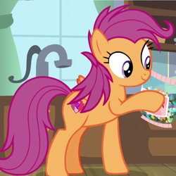 Size: 1000x1000 | Tagged: safe, edit, edited screencap, screencap, character:scootaloo, species:pegasus, species:pony, episode:growing up is hard to do, g4, my little pony: friendship is magic, cropped, female, mare, older, older scootaloo, smiling, solo