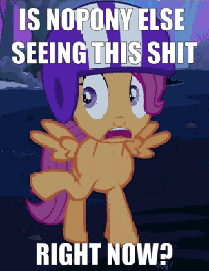 Size: 303x393 | Tagged: safe, edit, edited screencap, screencap, character:scootaloo, species:pegasus, species:pony, episode:sleepless in ponyville, g4, my little pony: friendship is magic, animated, caption, cropped, female, gif, helmet, image macro, meme, pointing, solo, text, trembling, vulgar
