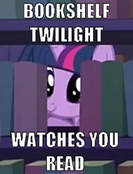 Size: 247x323 | Tagged: safe, edit, edited screencap, screencap, character:twilight sparkle, character:twilight sparkle (alicorn), species:alicorn, species:pony, episode:amending fences, g4, my little pony: friendship is magic, book, bookshelf, caption, ceiling cat, ceiling pony, cropped, female, image macro, library, meme, solo, text, watching