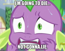 Size: 640x499 | Tagged: safe, edit, edited screencap, screencap, character:spike, episode:triple threat, g4, my little pony: friendship is magic, cropped, discovery family logo, male, meme, solo, sweat, terrified