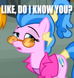 Size: 1021x1079 | Tagged: safe, edit, edited screencap, screencap, character:surf, character:turf, species:earth pony, species:pony, episode:putting your hoof down, g4, my little pony: friendship is magic, caption, clothing, cropped, female, glasses, image macro, mare, meme, solo focus, text