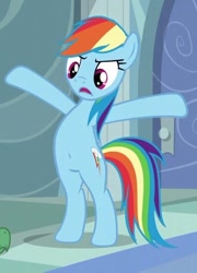 Size: 514x715 | Tagged: safe, edit, edited screencap, screencap, character:rainbow dash, species:pegasus, species:pony, /mlp/, episode:tanks for the memories, g4, my little pony: friendship is magic, belly button, bipedal, cropped, female, solo, standing