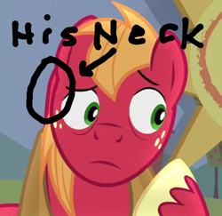 Size: 610x594 | Tagged: safe, edit, edited screencap, screencap, character:big mcintosh, species:earth pony, species:pony, episode:hard to say anything, g4, my little pony: friendship is magic, animation error, cropped, male, solo