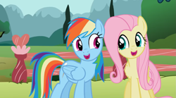 Size: 1099x613 | Tagged: safe, edit, edited screencap, screencap, character:fluttershy, character:rainbow dash, species:pegasus, species:pony, episode:may the best pet win, g4, my little pony: friendship is magic, faec, female, fix, mare