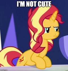 Size: 500x526 | Tagged: safe, edit, edited screencap, screencap, character:sunset shimmer, species:pony, species:unicorn, equestria girls:spring breakdown, g4, my little pony: equestria girls, my little pony:equestria girls, blatant lies, caption, cropped, cute, female, i'm not cute, image macro, mare, meme, shimmerbetes, solo, text, unamused