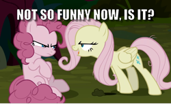 Size: 1008x617 | Tagged: safe, edit, edited screencap, screencap, character:fluttershy, character:pinkie pie, episode:the mean 6, g4, my little pony: friendship is magic, caption, duo, flutterbitch, image macro, meme, text