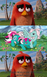 Size: 1024x1650 | Tagged: safe, edit, edited screencap, screencap, character:fizzy, character:wind whistler, species:pegasus, species:pony, species:unicorn, g1, angry birds, comic, crossover, dialogue, female, mare, red bird, screencap comic, the angry birds movie