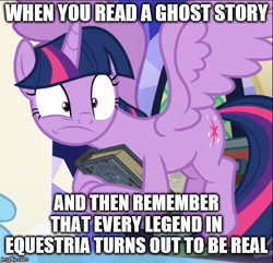 Size: 518x500 | Tagged: safe, edit, edited screencap, screencap, character:twilight sparkle, character:twilight sparkle (alicorn), species:alicorn, species:pony, episode:shadow play, g4, my little pony: friendship is magic, book, caption, cropped, image macro, meme, solo focus, text