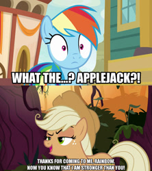 Size: 1280x1440 | Tagged: safe, edit, edited screencap, screencap, character:mean applejack, character:rainbow dash, species:earth pony, species:pegasus, species:pony, episode:common ground, episode:the mean 6, g4, my little pony: friendship is magic, caption, clone, clothing, dialogue, female, freckles, hat, image macro, mare, meme, raised hoof, text