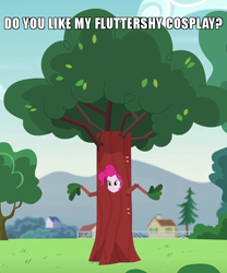 Size: 600x720 | Tagged: safe, edit, edited screencap, screencap, character:pinkie pie, episode:pinkie spy, equestria girls:friendship games, g4, my little pony: equestria girls, my little pony:equestria girls, caption, clothing, costume, cropped, disguise, female, fluttertree, image macro, meme, outfit catalog, solo, text, tree