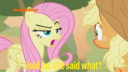 Size: 800x450 | Tagged: safe, edit, edited screencap, screencap, character:applejack, character:fluttershy, species:earth pony, species:pegasus, species:pony, episode:sounds of silence, g4, my little pony: friendship is magic, duo, female, meme, messy mane, nickelodeon, simple background