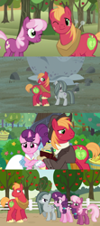 Size: 1280x2880 | Tagged: safe, edit, edited screencap, screencap, character:big mcintosh, character:cheerilee, character:marble pie, character:sugar belle, species:earth pony, species:pony, species:unicorn, ship:sugarmac, episode:hearthbreakers, episode:hearts and hooves day, episode:the big mac question, g4, my little pony: friendship is magic, apple, apple tree, awkward, best friends, comic, concerned, confused, embarrassed, female, friendship, friendshipping, happy ending, holder's boulder, husband and wife, intertwined trees, lip bite, looking at each other, male, pear tree, screencap comic, shipping, shocked, shocked expression, smiling, straight, stunned, surprised, surprised face, sweet apple acres, then and now, tree, worried, youtube link, youtube link in the description